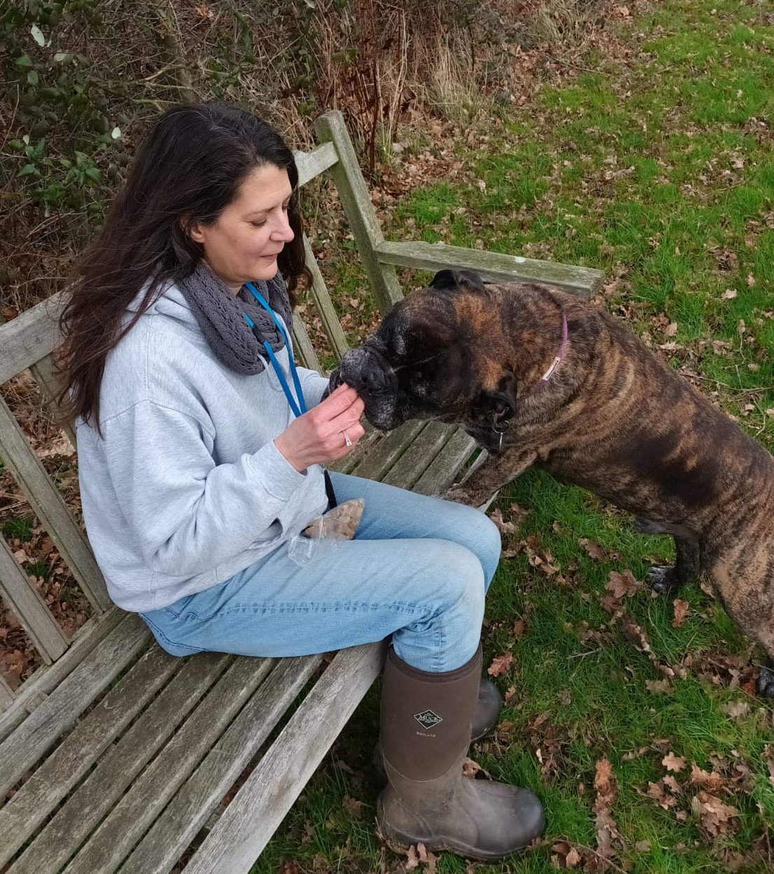 Positive reward training with a dog